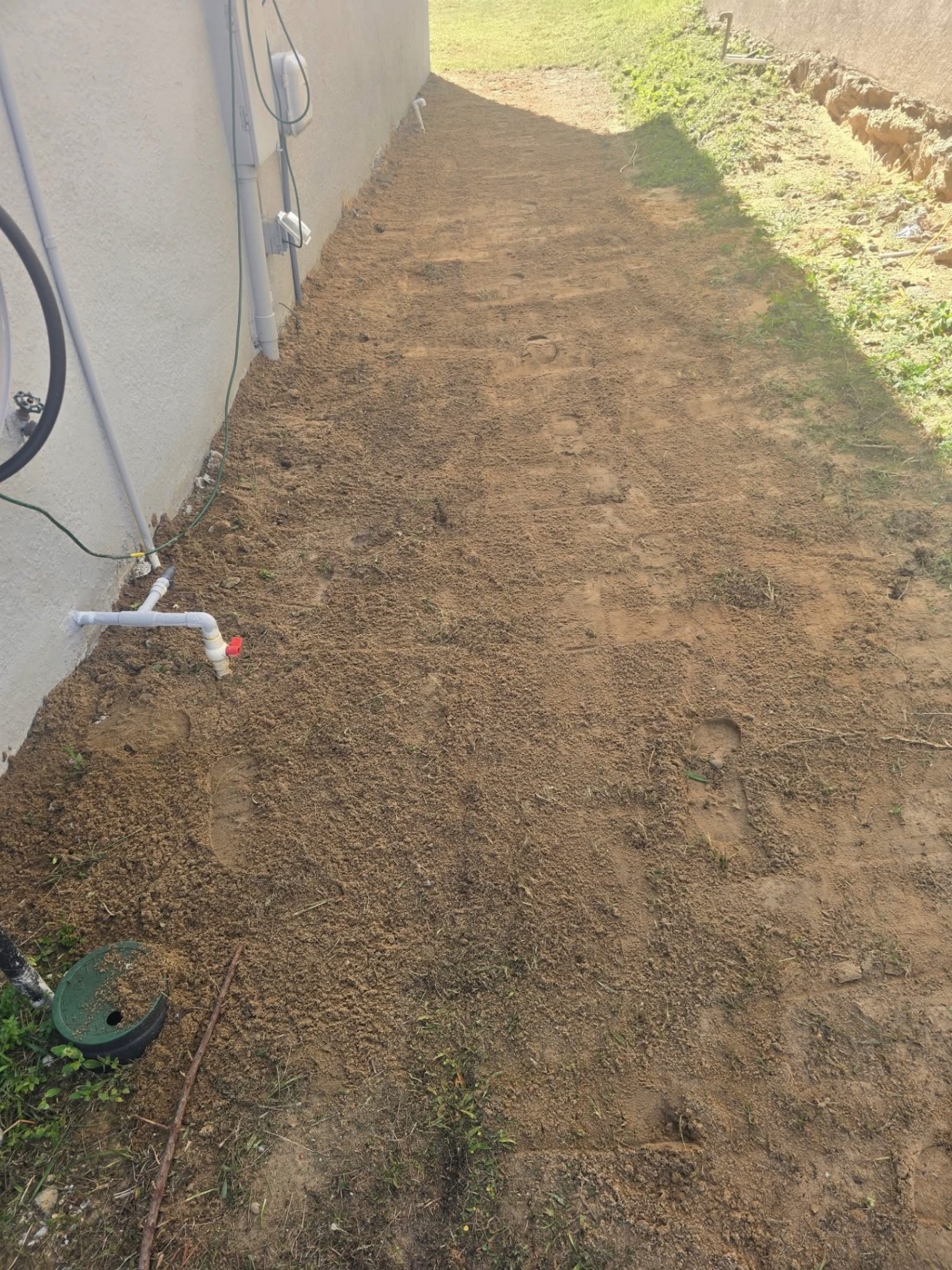 Before — bare dirt area alongside house