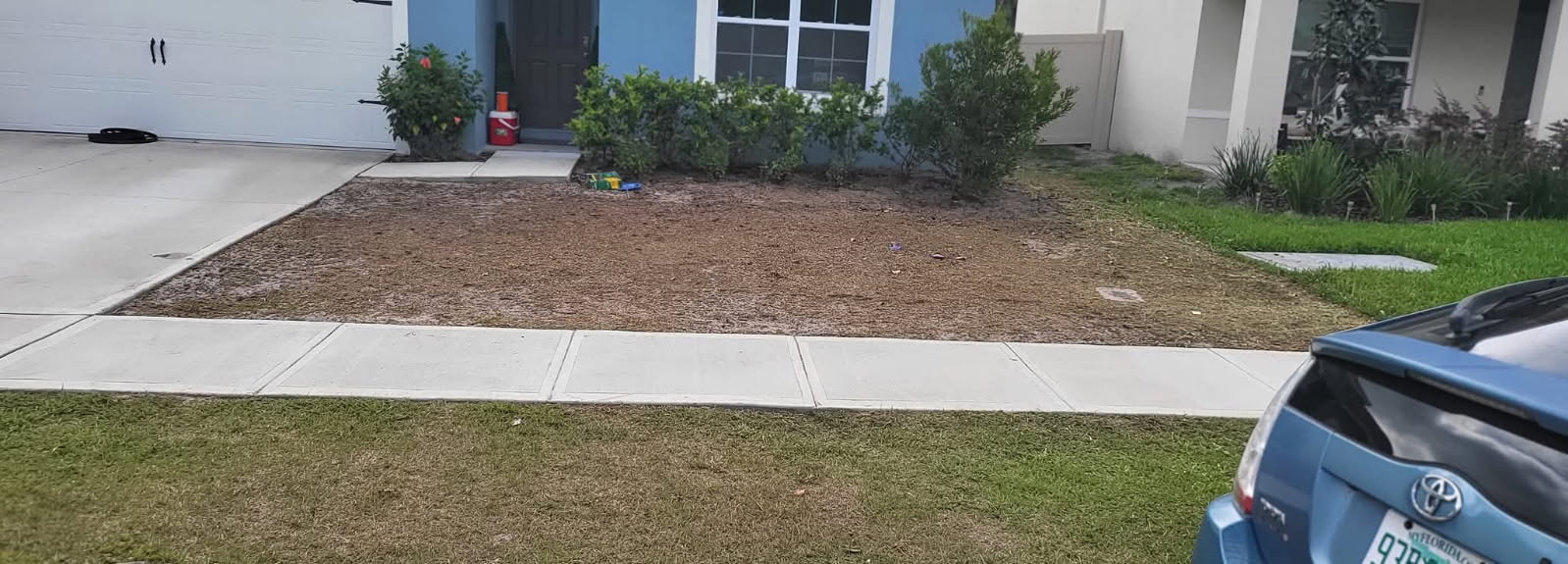 Before — dry patchy lawn in front of blue house